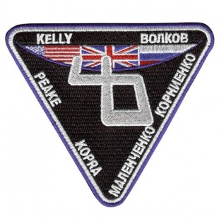 Expedition 46 mission patch