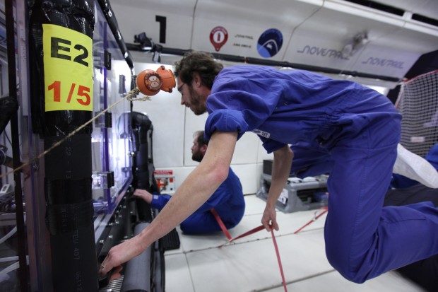 Hard at work in microgravity. Image credit: Novespace, Bordeaux.