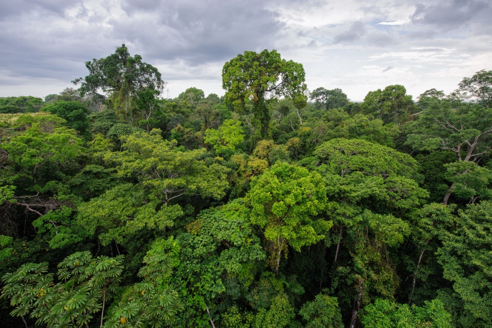 We’re celebrating the UK’s efforts to tackling climate change at COP23 ...