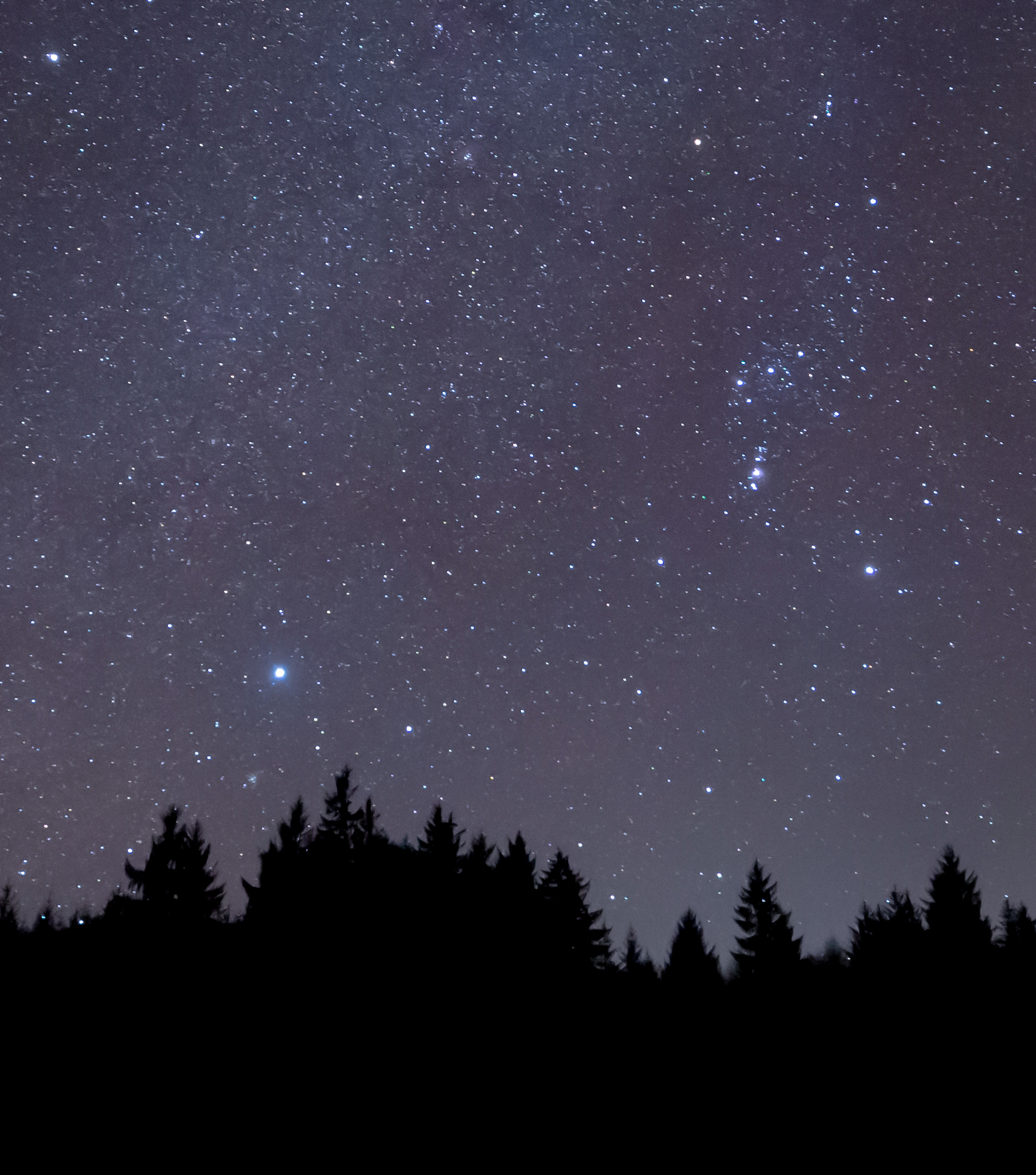 Are Any Stars Visible In The Night Sky Already Dead?