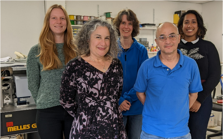 Team FORUM in the Earth Observation instrumentation lab at Imperial. From left to right: Laura Warwick, Jacqui Russell, Helen Brindley, Jon Murray, Sanjeevani Panditharatne. 
