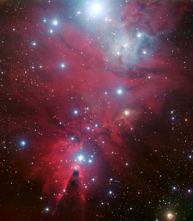 Christmas Tree Cluster. Credit: European Southern Observatory (ESO).