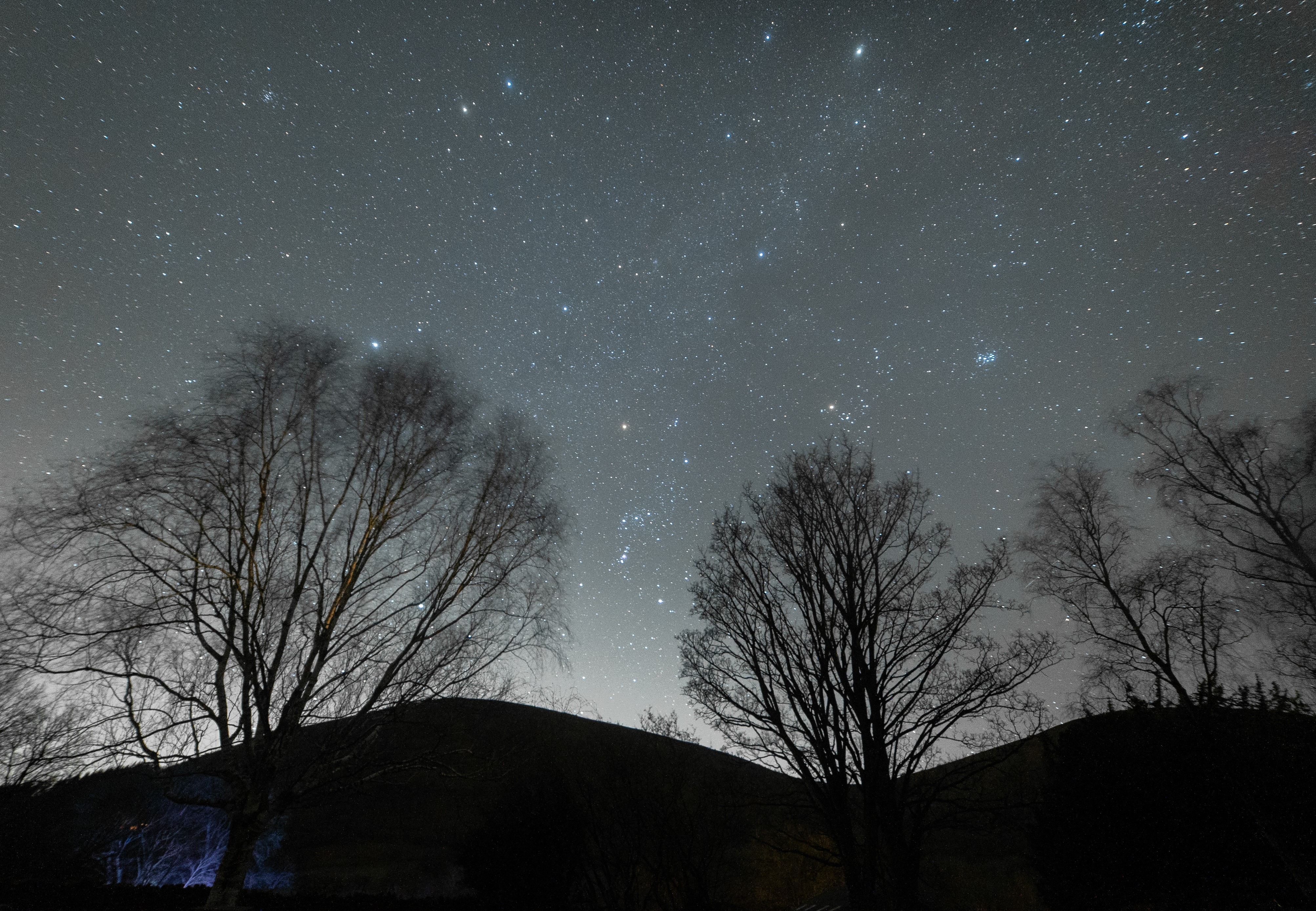 Stars in the night sky during winter.