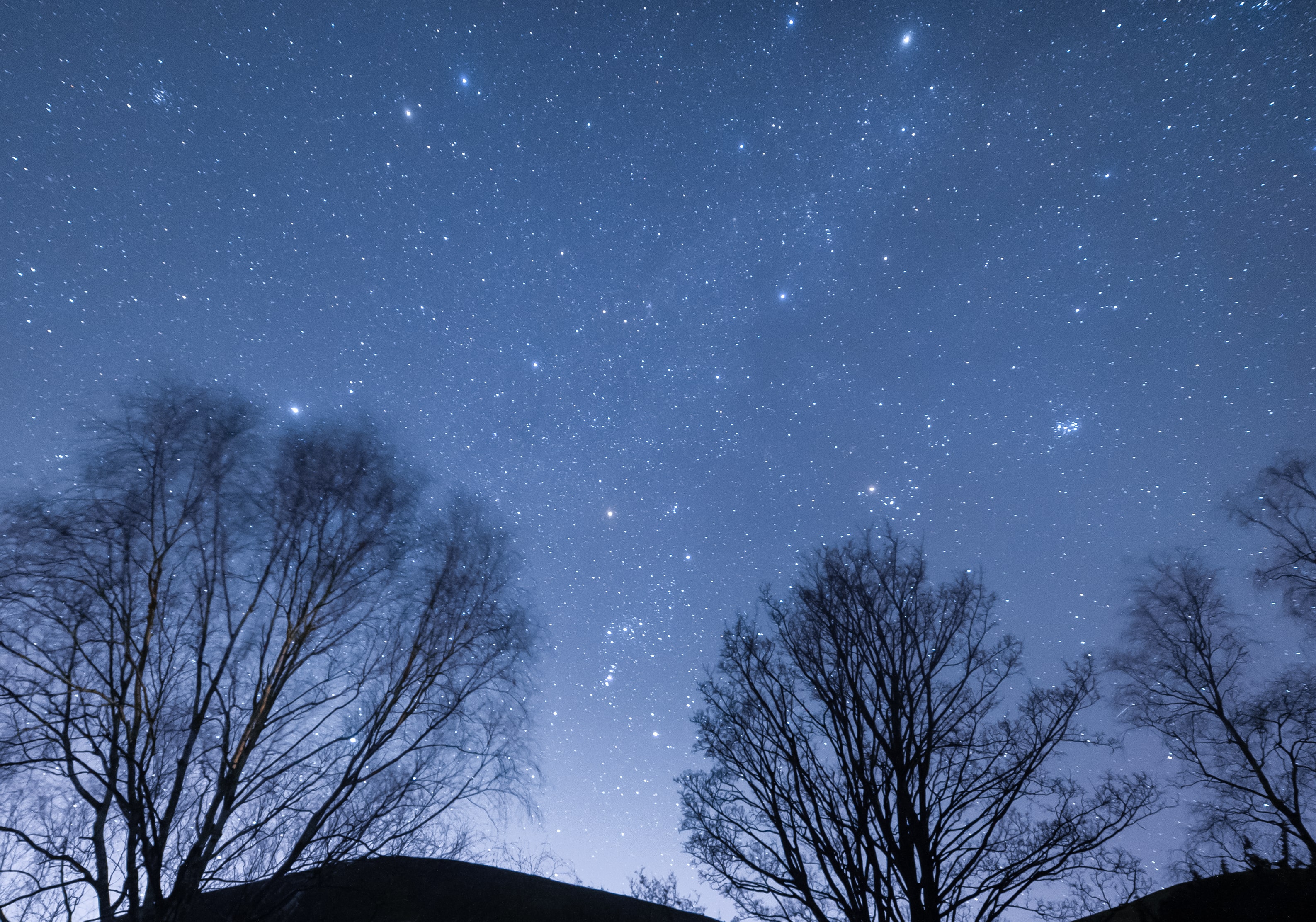 Bright stars in the winter night skies. 