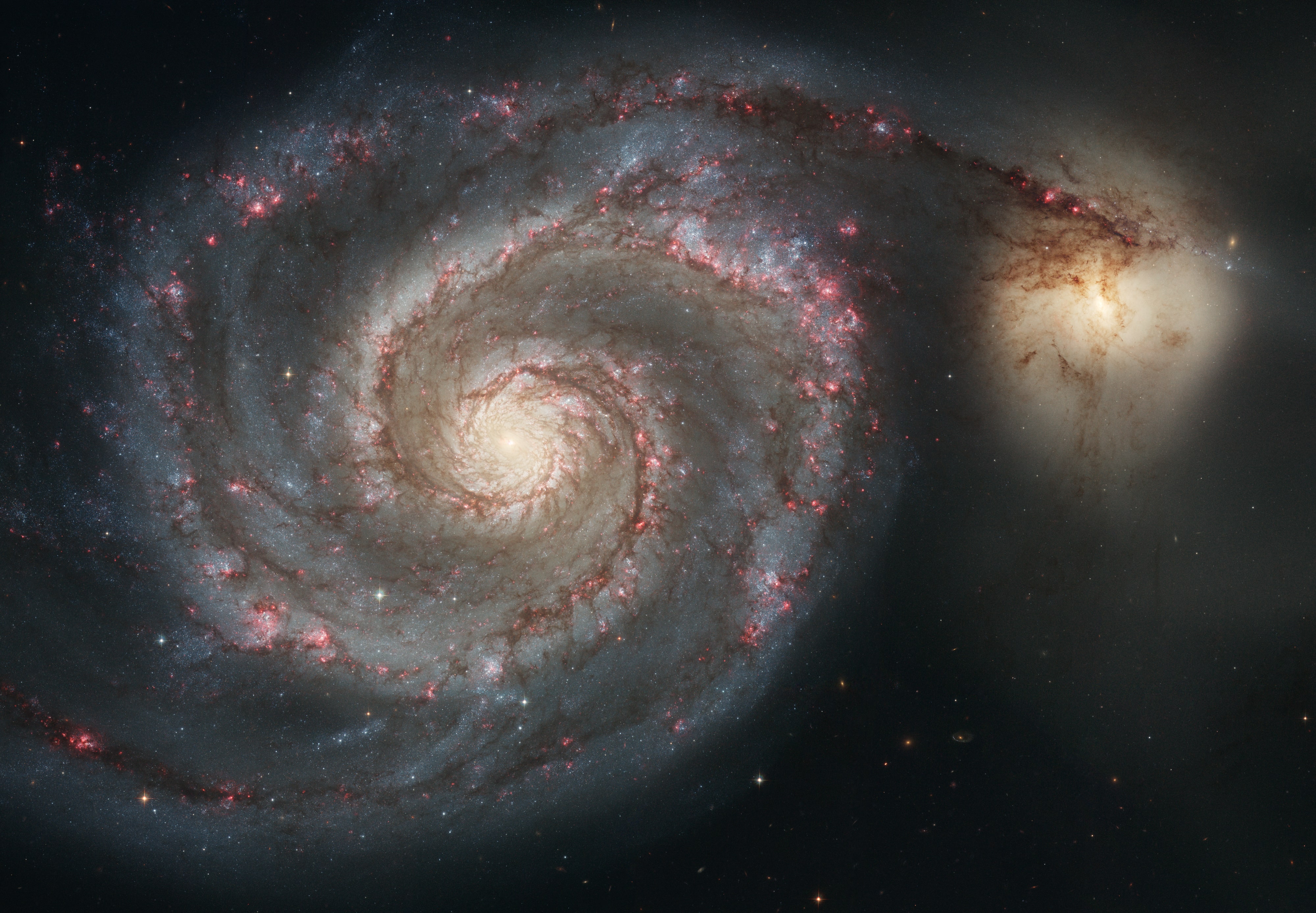The Whirlpool Galaxy. Credit: NASA, ESA, S.Beckwith (STScl), and the Hubble Heritage Team (STScl/AURA)