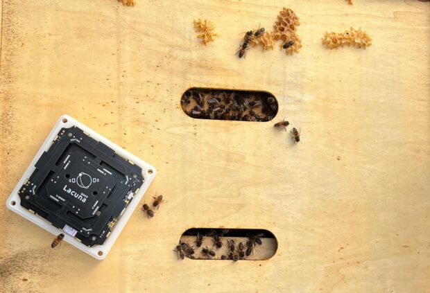 The Lacuna Space MultiNode supporting beekeeping and environmental monitoring through global satellite IoT connectivity.