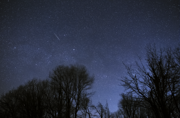 A Geminid meteor streaks through the sky. Credit: Will Gater
