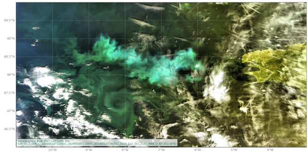 The green swirls show the algal blooms (European Space Agency, 2024)